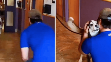Photo of Lost For 3-Years, He Howls With Joy When He Sees His Dad Standing In Front Of Him