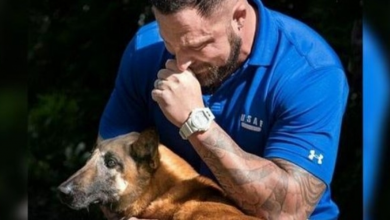 Photo of Vet Can’t Hold Back Tears When He Sees His Military K9 Now That She’s Old And Retired