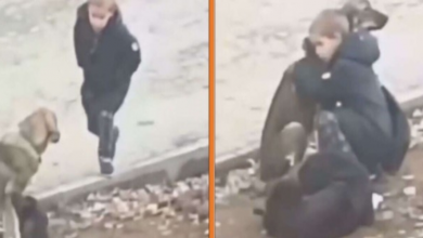 Photo of Boy Stops To Hug Stray Dogs When He Thinks That No One’s Watching