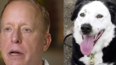 Photo of Man Goes To A Shelter And Asks For An ‘Obese, Middle-Aged Dog’ Because He Was Told That He Has 5 Years To Live