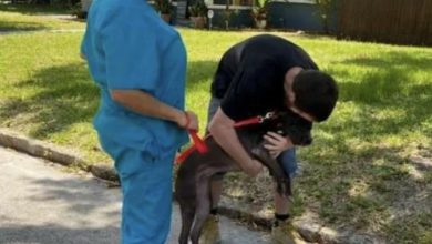 Photo of A homeless man had to give his dog to a shelter, but he returned it
