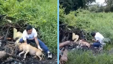 Photo of She Was Pregnant But Completely Helpless & Ended Her Life in a Dump