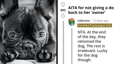 Photo of Woman Asks If She Is Wrong For Refusing To Give Her Co-Worker Her Dog Back