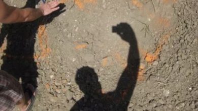 Photo of Enigmatic Excavations: Unveiling the Intriguing Tale of a Backyard Digger Prompting Swift Police Engagement upon Neighbors Alert