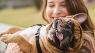 Photo of Mother attacks animal lovers, says the term fur babies is “an insult to moms”