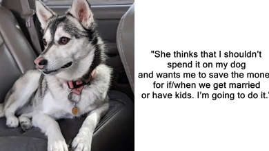 Photo of Guy Wants To Give His Dog Expensive Medical Treatment, Girlfriend Throws A Fit