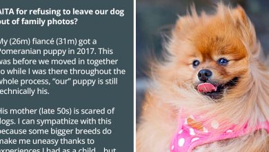 Photo of Guy Refuses His Fiancé’s Mom’s Request To Leave Their Dog Out Of Family Photo, Drama Ensues