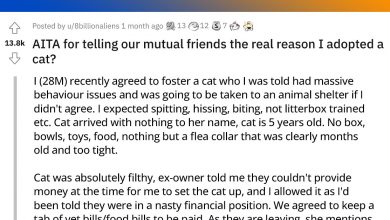 Photo of Man Tells The Truth About How His Coworker Treats Her Animals To Prevent Her From Adopting Another Animal To Maltreat, Making Her A Pariah At Work