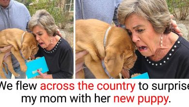 Photo of 18 People Who Made Their Loved Ones Cry Happy Tears