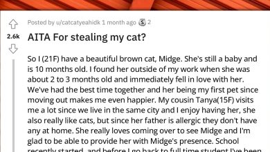 Photo of Lady Breaks Into Her Cousin’s House To Steal Back Cat That Was Taken From Her Without Permission