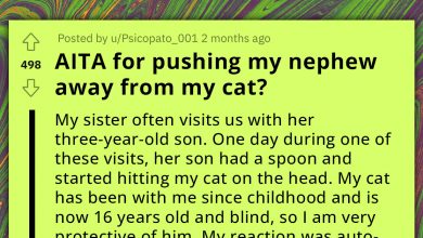 Photo of Redditor Provoked A Family Argument By Pushing Their Nephew Away From Their Cat
