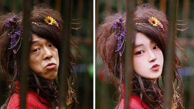 Photo of Photoshop Professional Warns Us To Never Trust Photos on The Internet