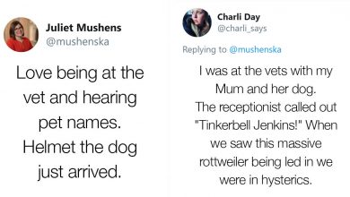 Photo of People Share 30 Hilarious Pet Names They Overheard At The Vet