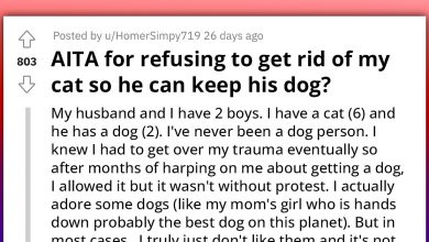 Photo of Couple Get Into Heated Argument Over Which Pet Will Join Them In Their Dream Apartment With A One-Pet Rule, The Wife’s Cat Or The Husband’s Untrained Dog