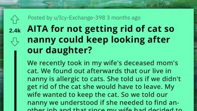 Photo of Redditor Gets Chewed Out By Stranger For Choosing Their Late MIL’s Cat Over Daughter’s Nanny