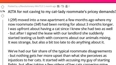 Photo of Newly Minted Roommates Fight Over Everything That Involves Their Cats And Point Fingers As To Who Should Compromise