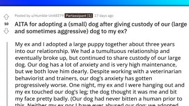 Photo of Woman Adopts A New Elderly Dog, Ex Isn’t Happy