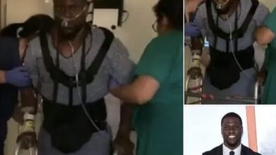 Photo of Kevin Hart uses a wheelchair after incident leaves him seriously injured
