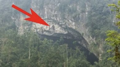 Photo of A simple farmer stumbled onto an undiscovered cave!