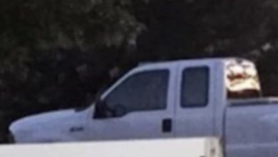 Photo of After dog gets hit by car, brutal sign has whole neighborhood talking