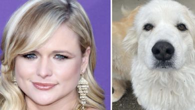 Photo of Miranda Lambert mourns death of beloved dog Thelma: “It hurts so bad to say goodbye”