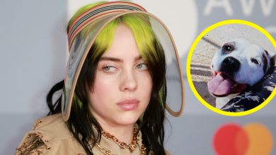Photo of Billie Eilish mourns death of childhood dog Pepper: “My lifelong best friend”