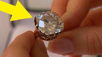 Photo of Woman Wears $13 Ring for 30 Years, Discovers Million-Dollar Gem