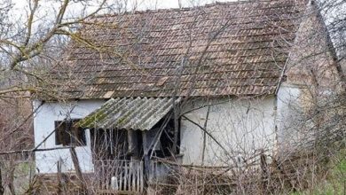 Photo of The Young Family Did Not Have Money For an Apartment: So They Bought an Abandoned House And Turned It Into a Fairytale House!