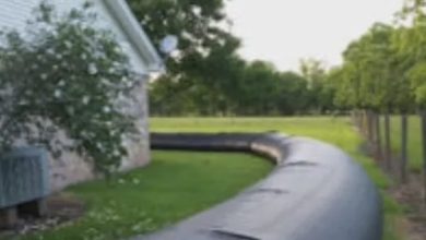 Photo of The neighbors made fun of him because of his fence, but he eventually showed his true genius.