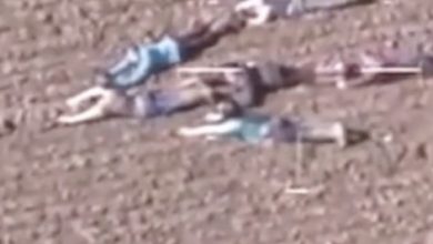 Photo of Children lay motionless on ground – when the police helicopter realizes why, they immediately take action