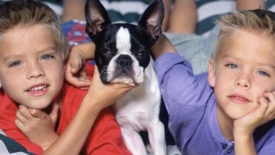 Photo of The Remarkable Journey of the Sprouse Twins: From Child Stars to Established Actors