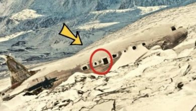 Photo of Researchers are astounded when they see what’s inside a long-lost plane that was recently discovered.