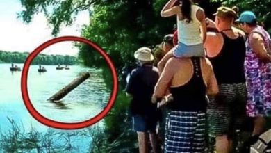 Photo of They Thought They Found Just A Log, But When They Pulled It Out, They Screamed