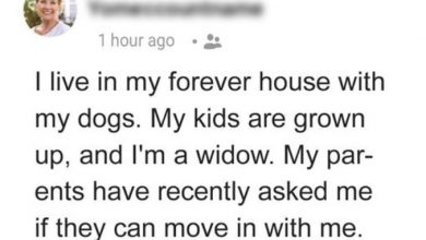 Photo of I Made My Elderly Parents Choose between Living in My Garage and a Nursing Home