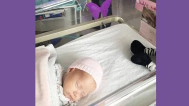 Photo of If you see a purple butterfly sticker near a newborn, you need to know what it means