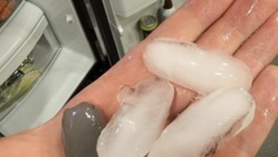Photo of If You See Gray Ice Cubes in Your Fridge, This Is What It Means