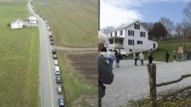 Photo of Pennsylvania Dairy Farmer Decides to Bottle His Own Milk Rather than Dump It. Sells Out in Hours