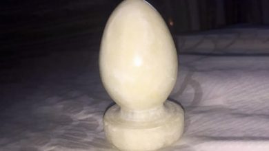 Photo of Curious Objects That Baffle People With Their Looks & Purpose