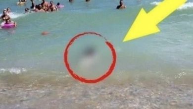Photo of Tourists couldn’t believe their eyes!