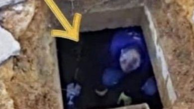 Photo of A startling finding was made as the man continued to hear weird noises beneath the driveway.