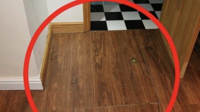 Photo of The Chilling Secret Hidden Beneath Inexpensive Apartment