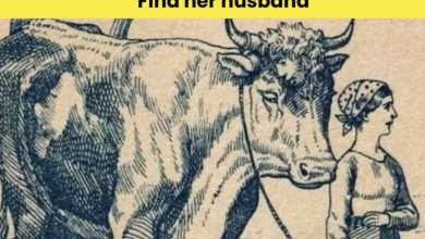 Photo of “Brain Teaser Challenge”: Find the farmer’s husband in 6 seconds!