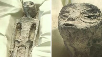 Photo of Otherworldly Revelation – Mexican Authorities Unveil Two Mysterious Beings at Public Hearing