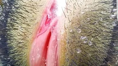 Photo of 17 Adult Plants That Look Like They Come Straight Out