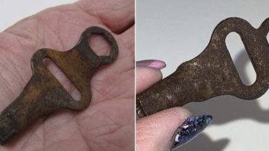 Photo of Does This Funny-Looking Object Look Familiar To You?