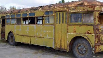 Photo of A Woman Turned a 1966 Bus into a Comfortable and Cozy Home on Wheels