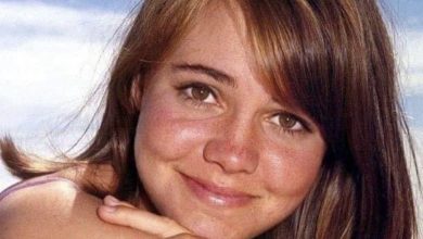 Photo of Actress Sally Field was the love of Burt Reynolds’ life, but she refused to speak to him in his final 30 years – Animals