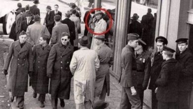 Photo of This photograph shook the entire world…