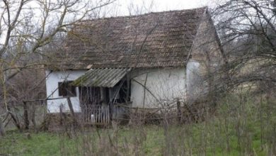 Photo of The Young Family Did Not Have Money For an Apartment: So They Bought an Abandoned House And Turned It Into a Fairytale House!