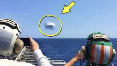 Photo of Pilots See Object Getting Closer – They Turn Pale When They Realize What It